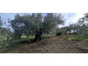 Vente terrain à Fontès (34320)  44 000 €
