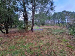 Vente terrain à batir 835 m² à Biscarrosse (40600)  168 000 €
