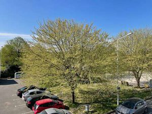 Vente Appartement 3 pièces à Indre (44610) : à vendre 3 pièces / 50m² Indre