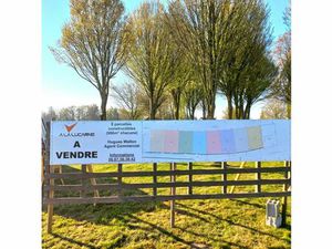 Annonce vente terrain terrain de 986m2 à Ruisseauville (62310) - ParuVendu.fr ref 99278022
