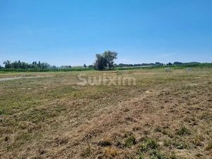 Vente terrain à batir 1003 m² à Labets-Biscay (64120)  58 000 €