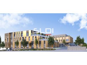 Achat Local Professionnel 194m² LA TOUR DE SALVAGNY 69890