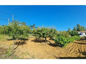 Achat Terrain MARSSAC SUR TARN 81150