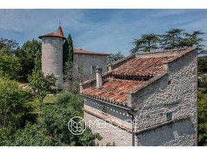 Achat Maison 13 pièces 380m² CARLUS 81990