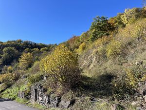 Achat Terrain 3 162m² CEYSSAC 43000