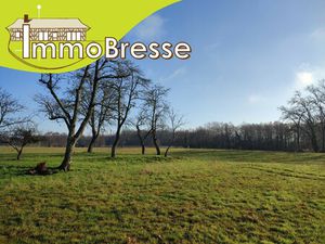 Achat Terrain ST TRIVIER DE COURTES 01560