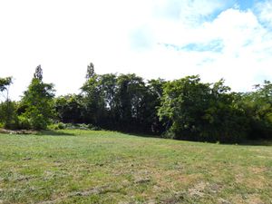 Achat Terrain 1 196m² COULOUNIEIX CHAMIERS 24660