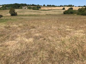 Achat Terrain 14 300m² SAUVAGNAS 47340