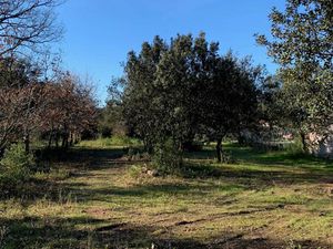 Achat Terrain 1 200m² VIOLES 84150