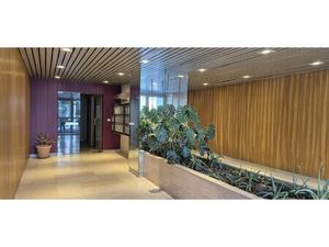 Location Local Professionnel 74m² BAYONNE 64100