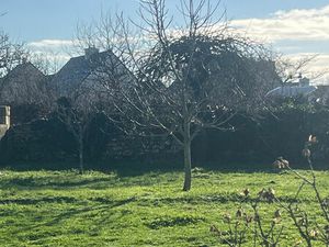 Achat Terrain 389m²