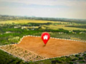 Achat Terrain 66 320m²