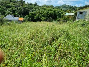 Achat Terrain 1 439m² DUCOS 97224