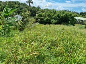 Achat Terrain 1 028m² DUCOS 97224