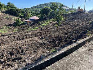 Achat Terrain 600m² LE VAUCLIN 97280