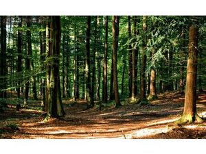 Achat Terrain 103 000m² LUZARCHES 95270