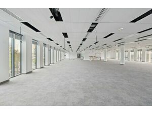 Location Local Professionnel 5 768m²