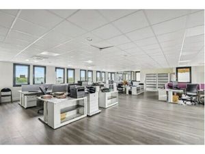 Location Local Professionnel 1 000m²