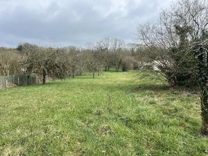 Vente terrain 2696 m² à Montbard (21500)  40 000 €