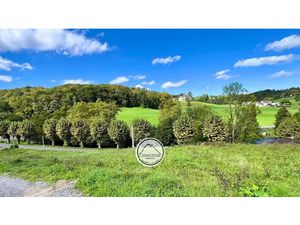 Vente terrain 1948 m² à Rébénacq (64260)  46 500 €