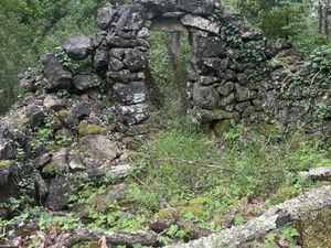 Vente terrain 10393 m² Tourrettes-sur-Loup (06140)