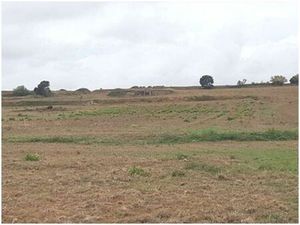 Vente terrain 83245 m² Sainte-Valière (11120)