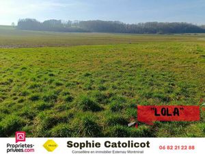 Achat Terrain 985m² MECRINGES 51210