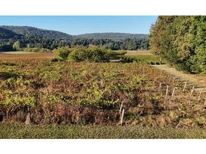 Vente terrain 7000 m² Caillac (46140)