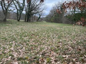 Vente terrain 3392 m² Promilhanes (46260)