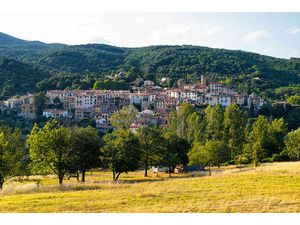 Vente local industriel 466 m² Amélie-les-Bains-Palalda (66110)