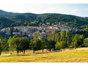 Vente local industriel 495 m² Amélie-les-Bains-Palalda (66110)