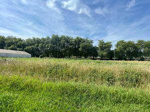 Vente terrain 4000 m² Montardon (64121)