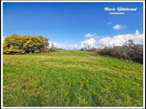 Vente terrain 2396 m² à Moissac (82200)  35 000 €