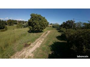 Terrain 1 490 m² Aleria