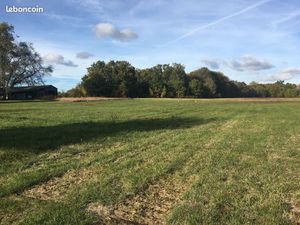 Terrain 1000 m² SAINT GERMAIN D ESTEUIL