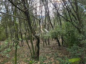 Annonce vente terrain terrain de 1032m2 à Cendras (30480) - ParuVendu.fr ref 992780399503