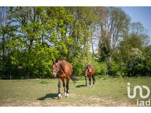 Vente propriété 5 pièces 142 m² à Quetteville (14130)  420 000 €