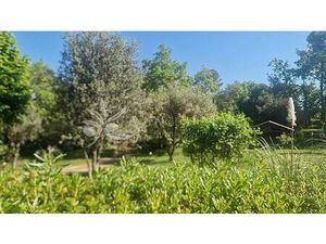 Vente terrain 3000 m² Opio (06650)