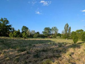 Vente terrain 3098 m² Montbrison (42600)