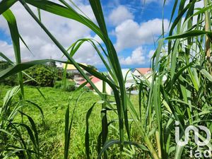 Vente terrain 1200 m² à Le tampon (97430)  230 000 €