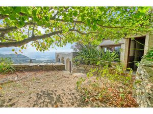 Vente propriété Centuri - Hameau de Cannelle T4 147 m² avec terrain 5825 m² avec vue mer