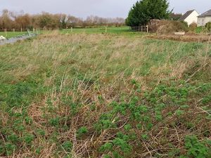 Vente terrain 513 m² à Plouénan (29420)  52 900 €