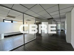 Location bureau CANNES 249 m²