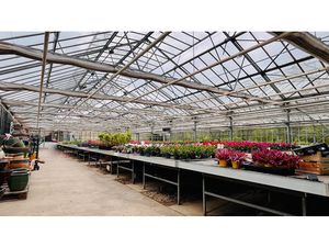 57530 - ZONE UA TOTALITE TERRAIN 44 ARES/SERRES HORTICOLES/HABITAT