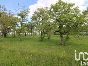Vente Terrain à bâtir 980 m²