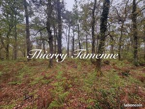 Forêt 48 400 m² Barbaste