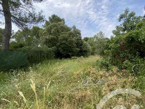 Terrain agricole 2 055 m² Junas