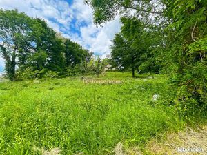 Terrain 4343 m² altillac