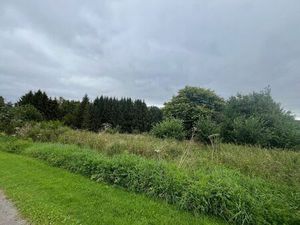 Terrain à vendre à Mabompré € 70.000 (L7WOK) - IMMO BASTOGNE | Zimmo