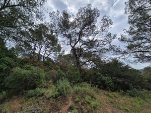 Achat Terrain 33 067m² LA CRAU 83260